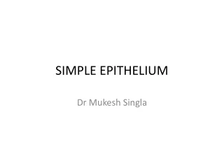 SIMPLE EPITHELIUM