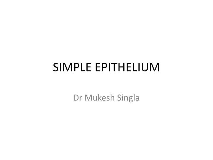 simple epithelium