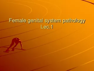 Female genital system pathology Lec.1