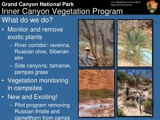 Inner Canyon Vegetation Program