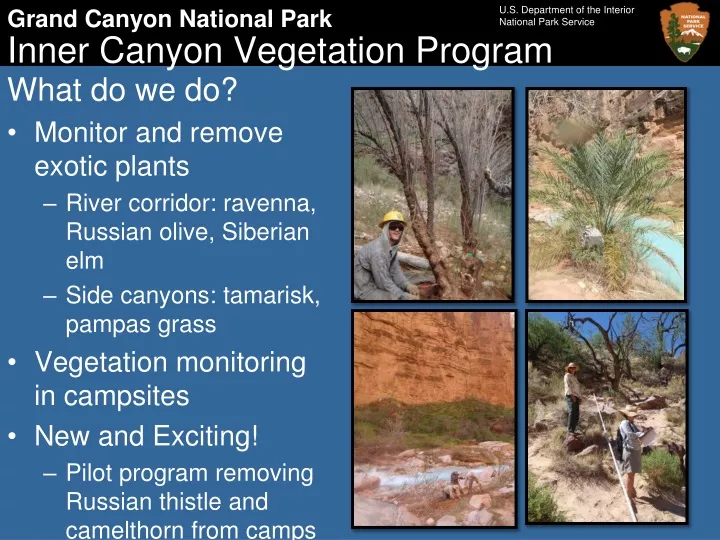 inner canyon vegetation program