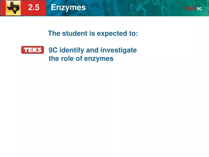 the student is expected to 9c identify and investigate the role of enzymes
