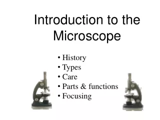 Introduction to the Microscope