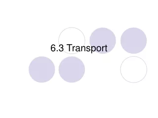 6.3 Transport