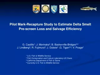 Pilot Mark-Recapture Study to Estimate Delta Smelt  Pre-screen Loss and Salvage Efficiency