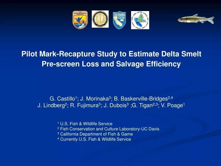 pilot mark recapture study to estimate delta