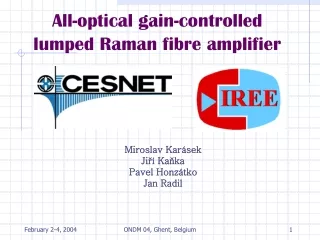 All-optical gain-controlled lumped Raman fibre amplifier