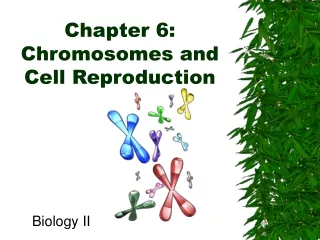 Chapter 6:  Chromosomes and Cell Reproduction
