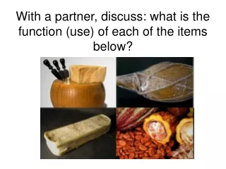 With a partner, discuss: what is the function (use) of each of the items below?