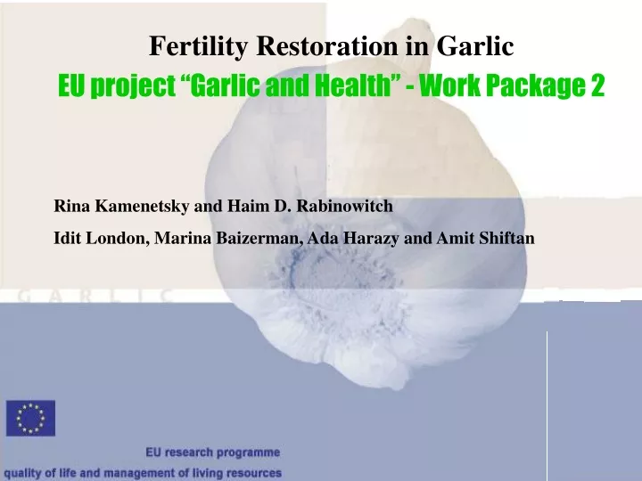 fertility restoration in garlic eu project garlic