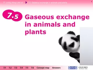 Gaseous exchange in animals and plants