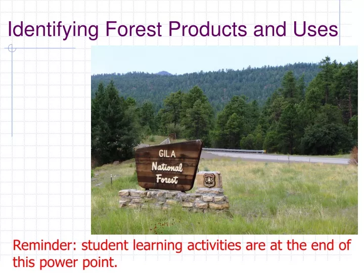 identifying forest products and uses