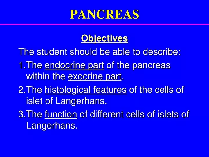 PPT - PANCREAS PowerPoint Presentation, Free Download - ID:9641785