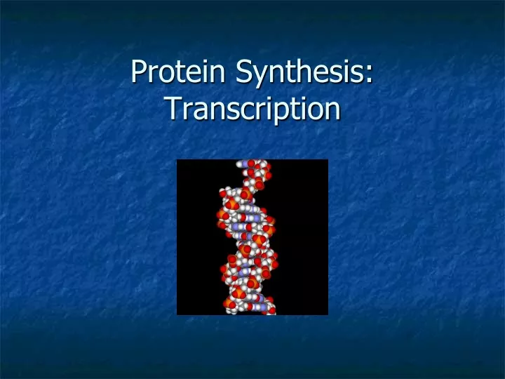 protein synthesis transcription