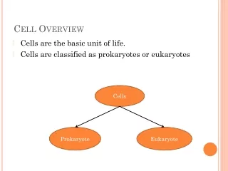 Cells are the basic unit of life. Cells are classified as prokaryotes or eukaryotes