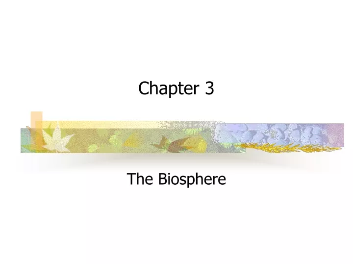 chapter 3