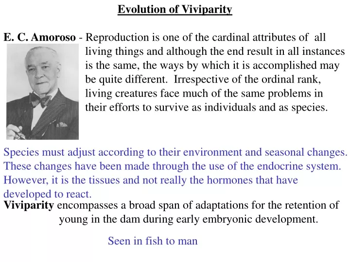 evolution of viviparity e c amoroso reproduction