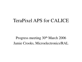 TeraPixel APS for CALICE