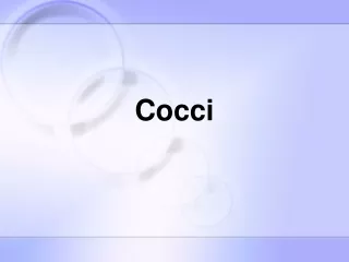 Cocci