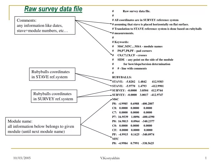 raw survey data file