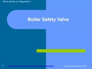 Boiler Safety Valve