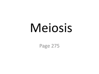 Meiosis