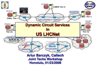 Dynamic Circuit Services in  US  LHCNet