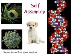 Nanomanufacturing Institute: Self-Assembly in Nanoscience Education - slide 1
