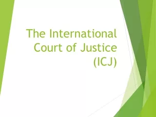 The International Court of Justice (ICJ)