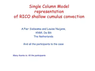 Single Column Model  representation of RICO shallow cumulus convection