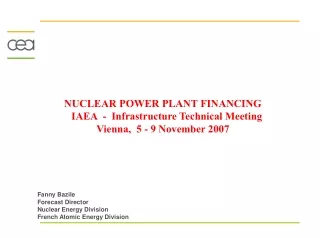 NUCLEAR POWER PLANT FINANCING    IAEA  -  Infrastructure Technical Meeting