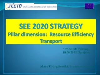 SEE 2020 STRATEGY Pillar dimension:  Resource Efficiency Transport