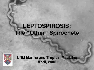 LEPTOSPIROSIS:   The “Other” Spirochete