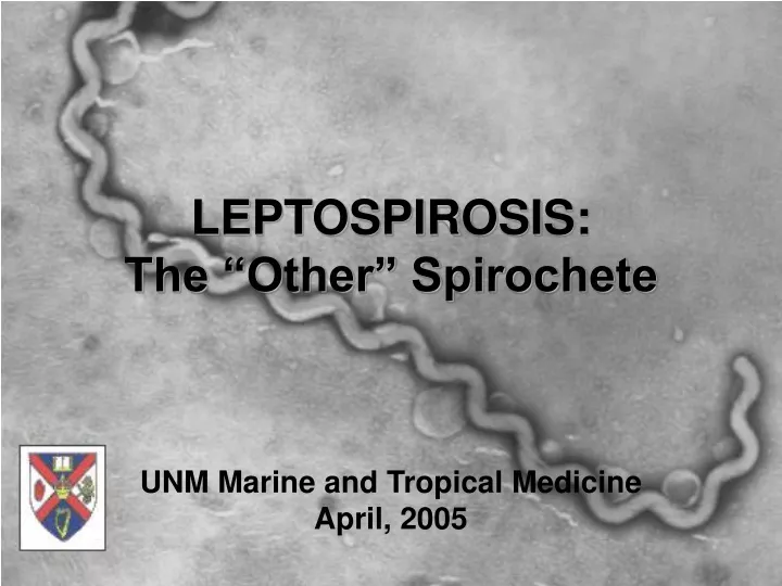 leptospirosis the other spirochete