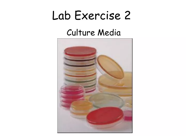 lab exercise 2