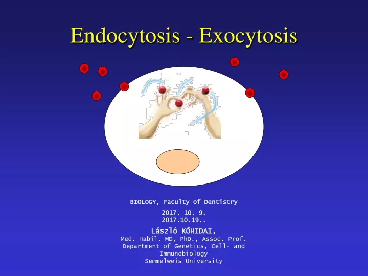 endocytosis exocytosis
