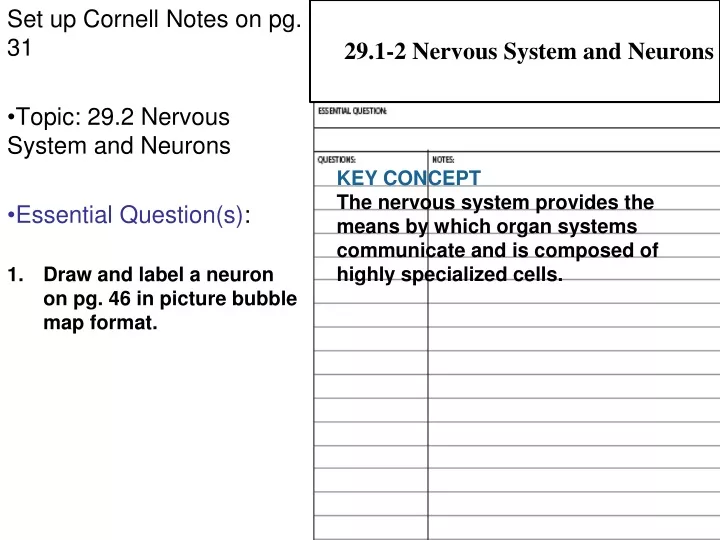 29 1 2 nervous system and neurons