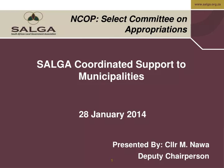 salga coordinated support to municipalities 28 january 2014