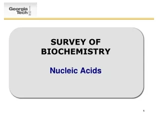 SURVEY OF BIOCHEMISTRY Nucleic Acids