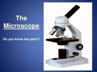 The Microscope Do you know the parts?