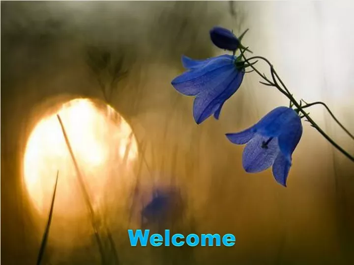 welcome