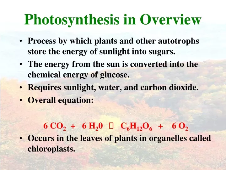 photosynthesis in overview
