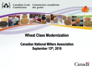 Wheat Class Modernization Canadian National Millers Association September 13 th , 2016