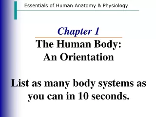 Chapter 1 The Human Body: An Orientation List as many body systems as you can in 10 seconds.