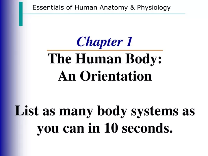 chapter 1 the human body an orientation list as many body systems as you can in 10 seconds