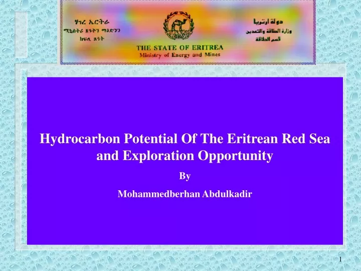 hydrocarbon potential of the eritrean