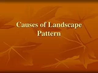 Causes of Landscape Pattern