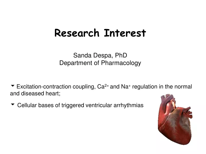 research interest sanda despa phd department