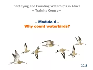 – Module 4 –  Why count waterbirds?