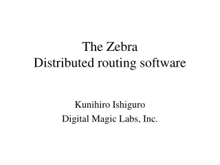 The Zebra Distributed routing software